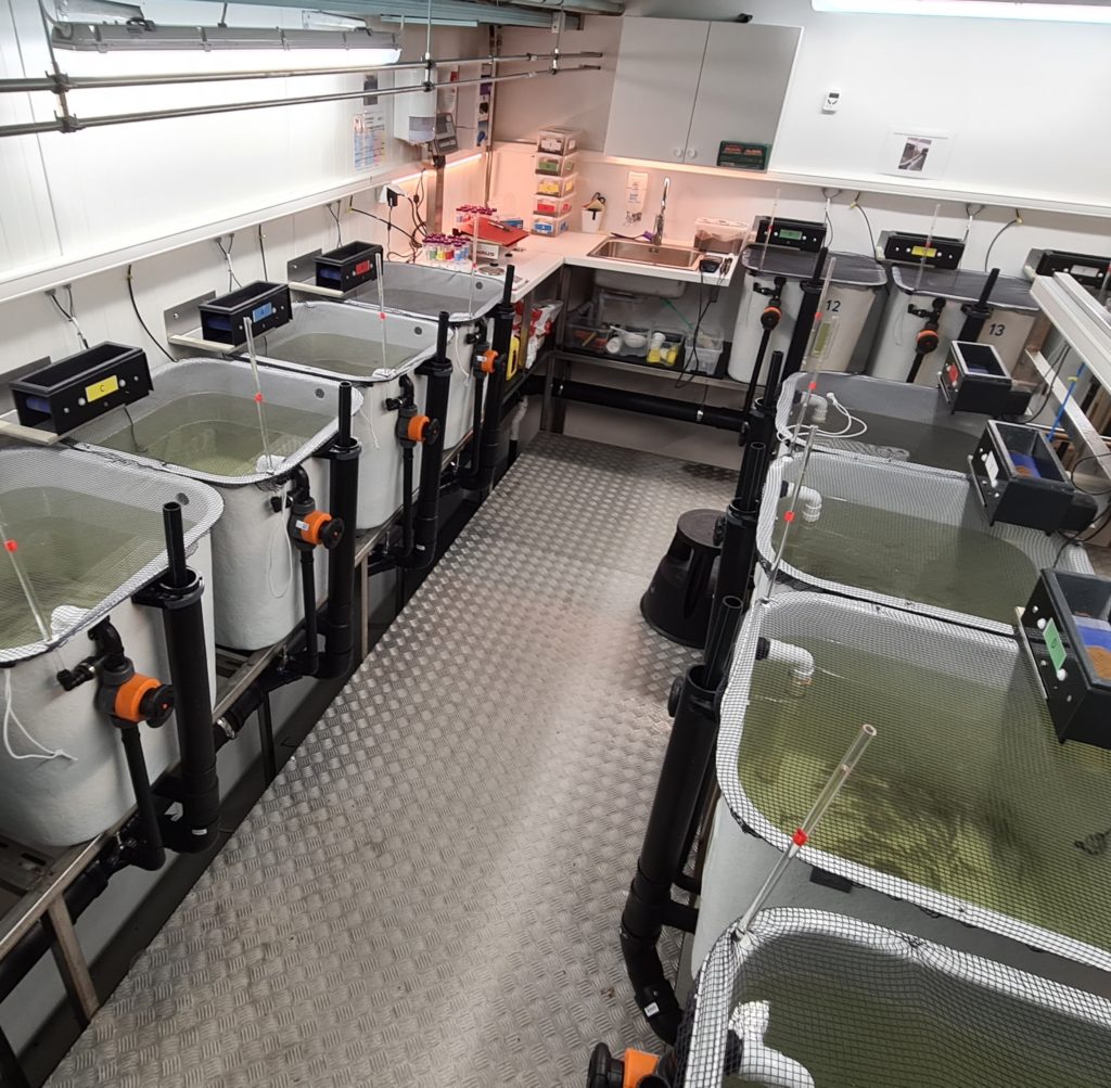 Laboratorium for råvaretest av fiskefôr